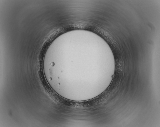 X0000110320738200906111452