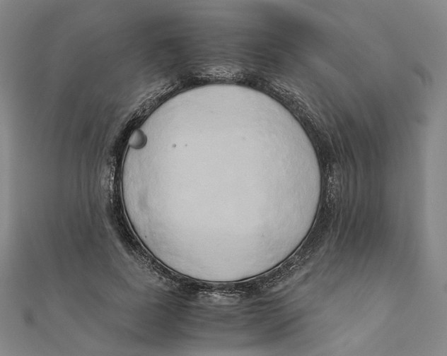 X0000110320739200906111452