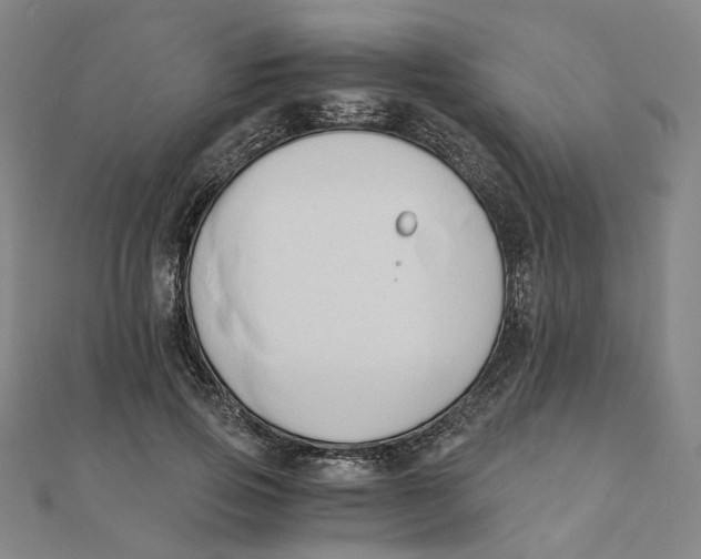 X0000110320741200906111452