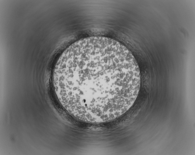 X0000110320742200906111452