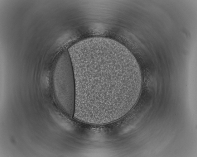 X0000110320744200906111452