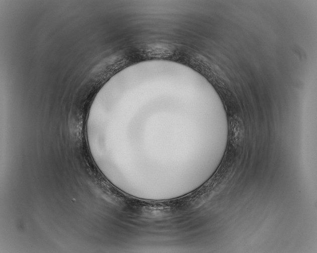 X0000110320745200906111452