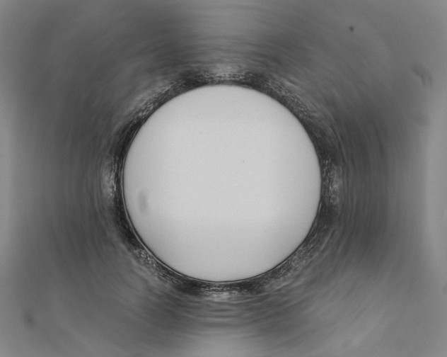 X0000110320746200906111452