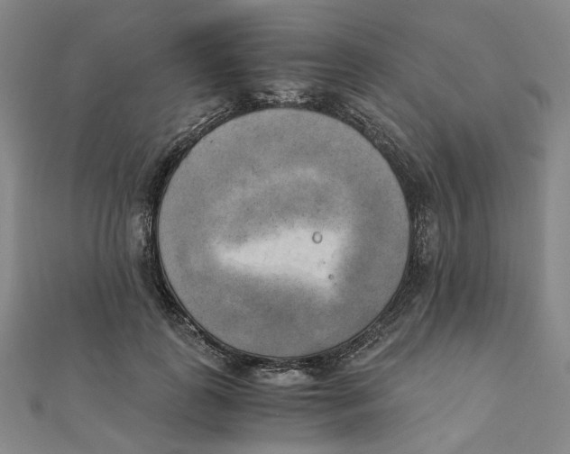 X0000110320747200906111452