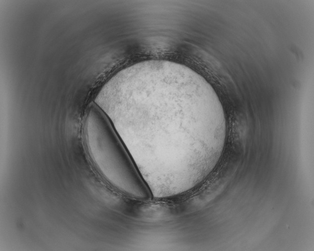 X0000110320750200906111452