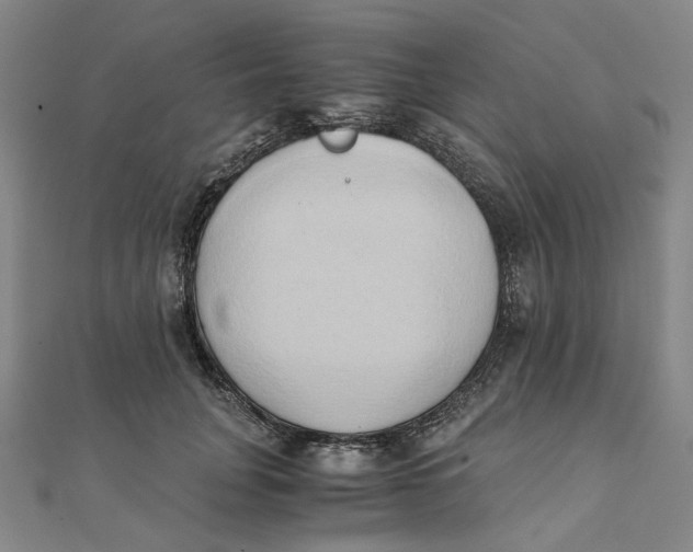 X0000110320751200906111452