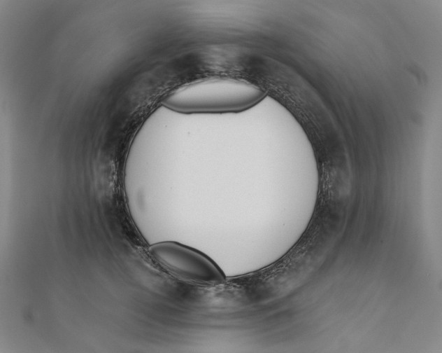 X0000110320752200906111452