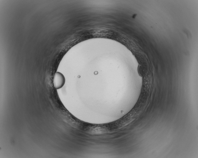 X0000110320755200906111452