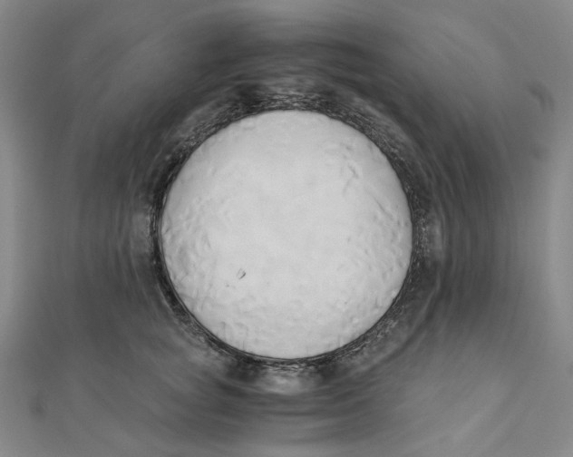 X0000110320757200906111452