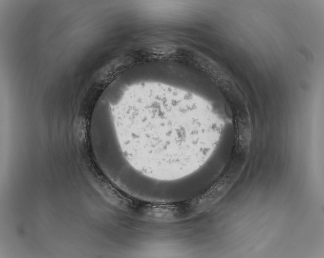 X0000110320758200906111452