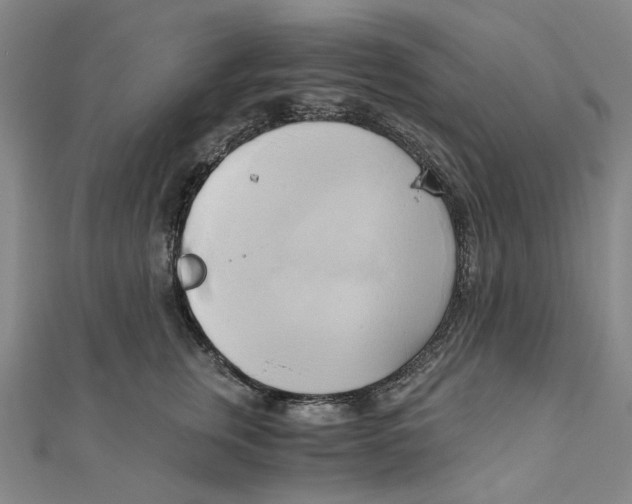 X0000110320759200906111452