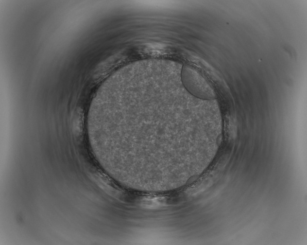 X0000110320760200906111452