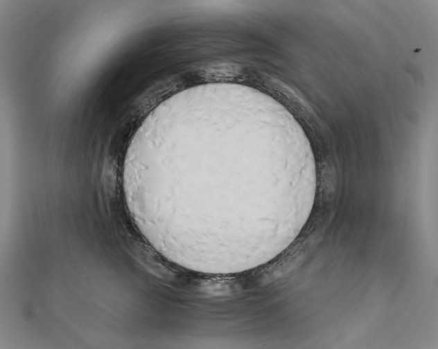 X0000110320761200906111453