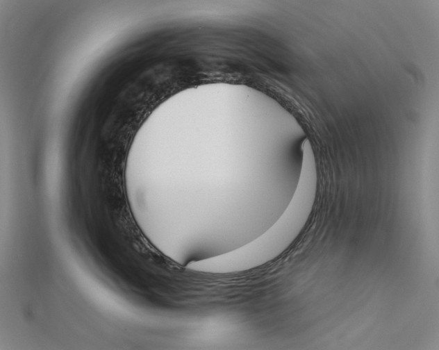 X0000110320764200906111453