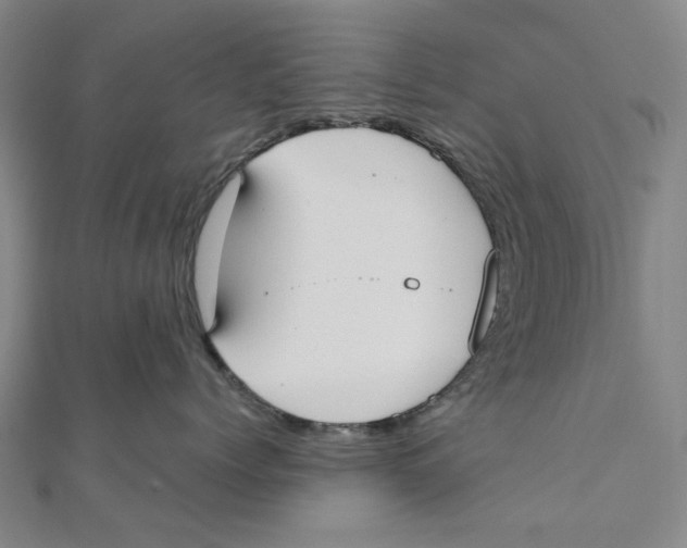 X0000110320768200906111453