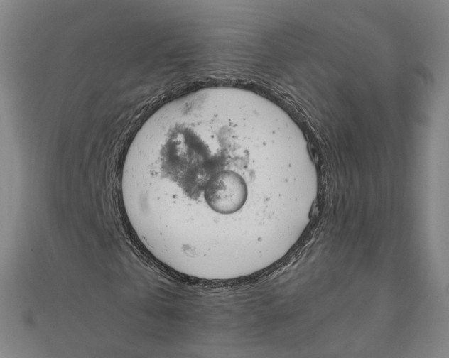 X0000110320769200906111452