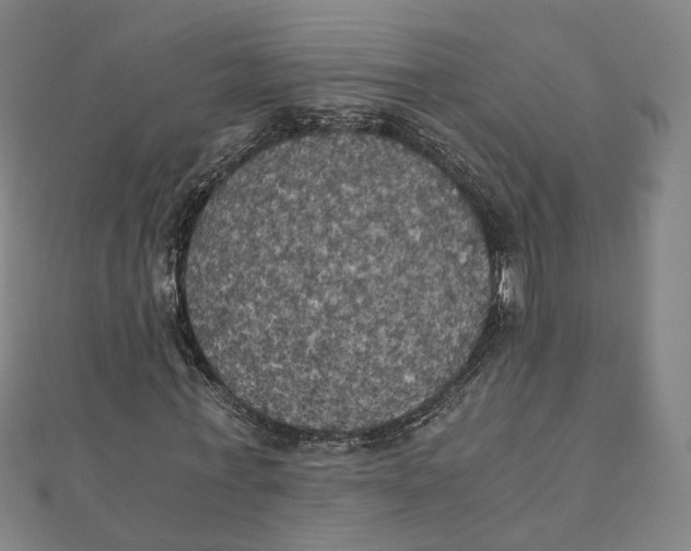 X0000110320771200906111452