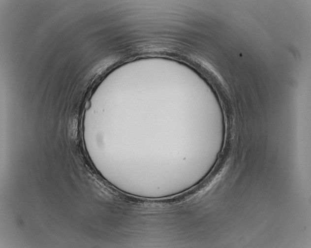 X0000110320777200906111452