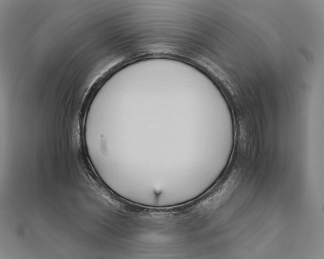 X0000110320782200906111452