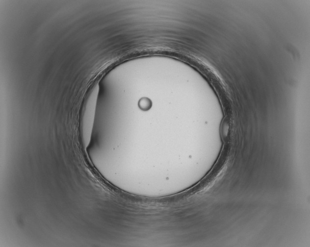 X0000110320785200906111452