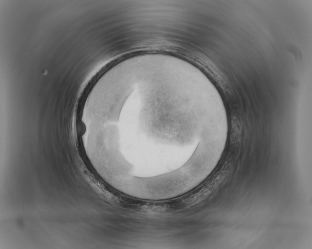 X0000110320788200906111452