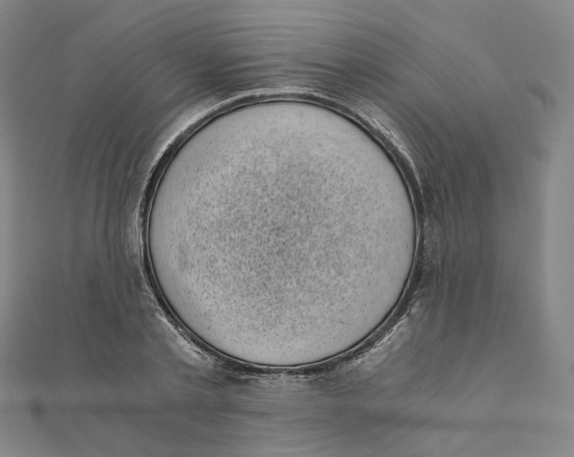 X0000110320789200906111452