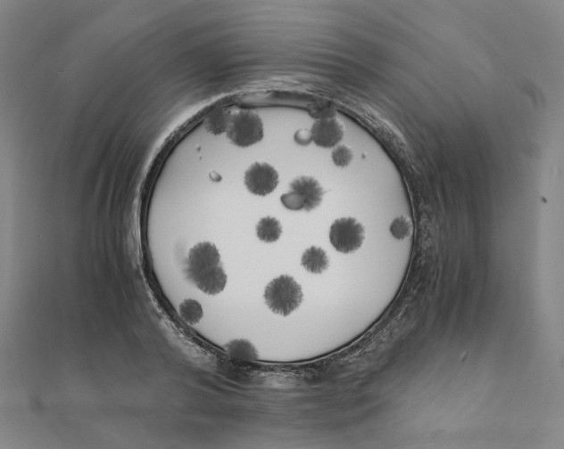 X0000110320792200906111452