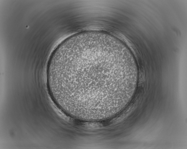 X0000110320795200906111452