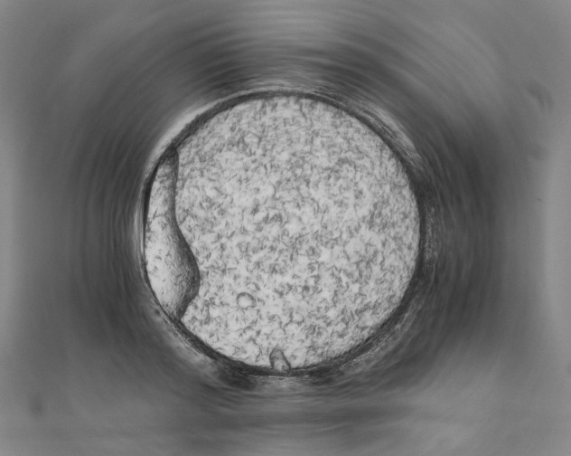 X0000110320796200906111452