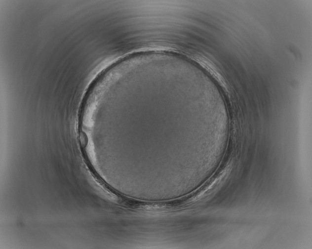 X0000110320797200906111451