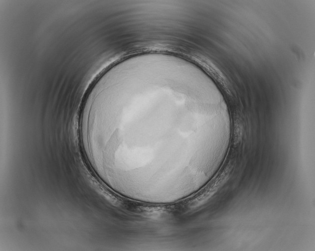 X0000110320798200906111451