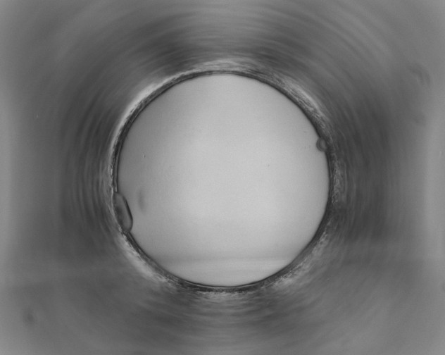 X0000110320800200906111451