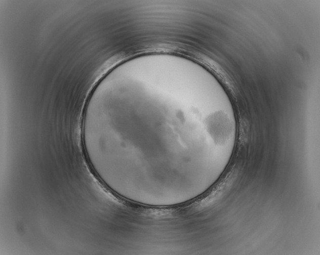 X0000110320802200906111451