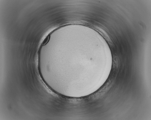 X0000110320804200906111451