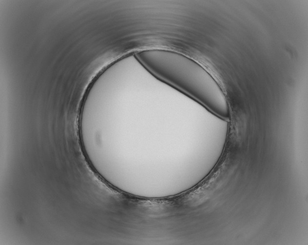 X0000110320805200906111451