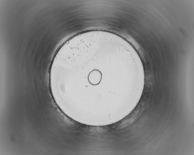 X0000110320807200906111451