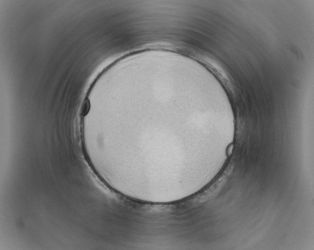 X0000110320808200906111451