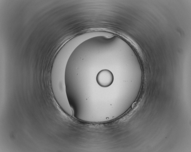 X0000110320809200906111451