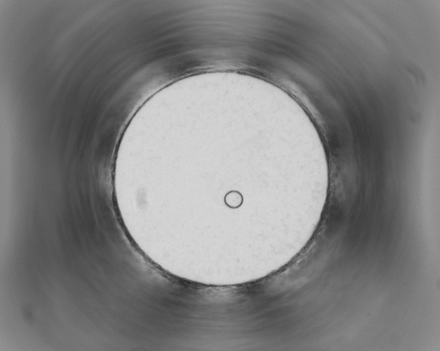 X0000110320810200906111451