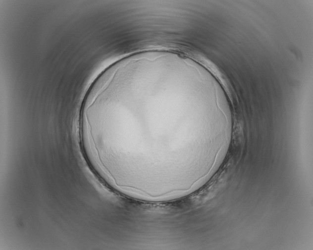 X0000110320811200906111451