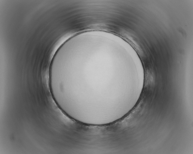 X0000110320812200906111451