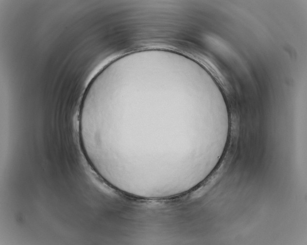 X0000110320814200906111451