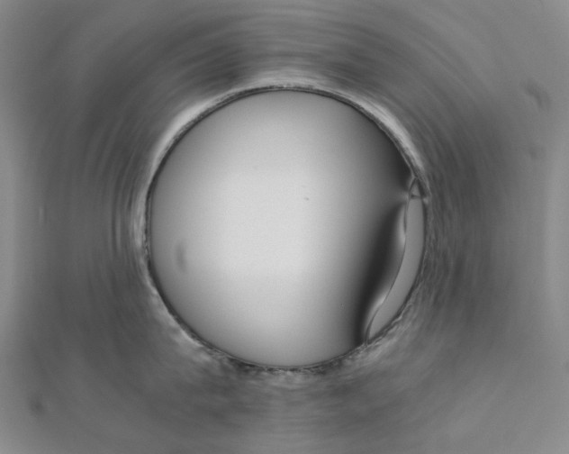 X0000110320815200906111451