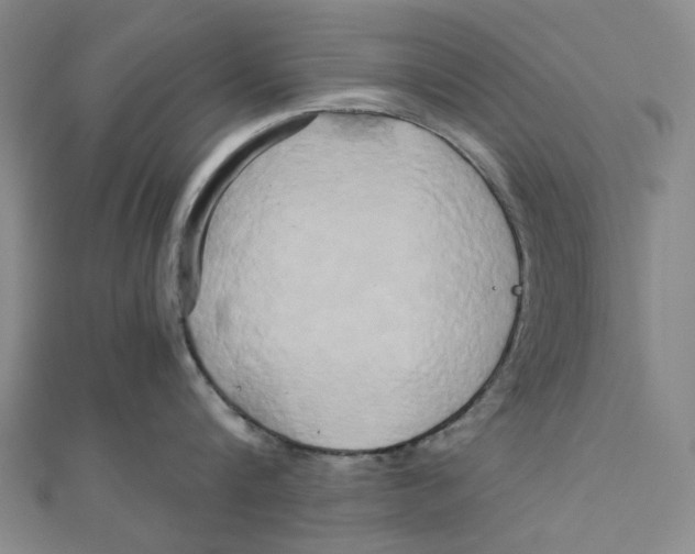 X0000110320816200906111451