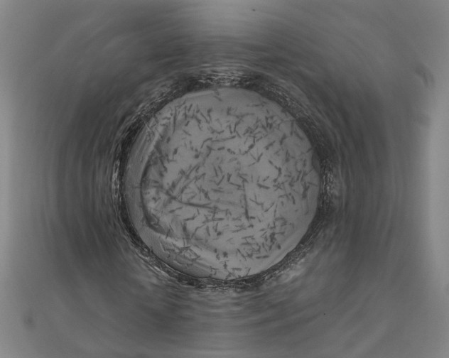 X0000110320818200906111451