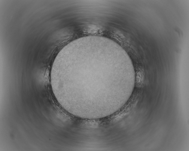 X0000110320820200906111451