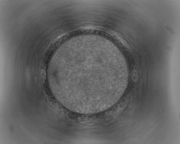 X0000110320821200906111451