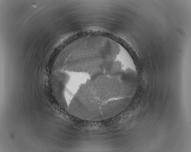 X0000110320823200906111451