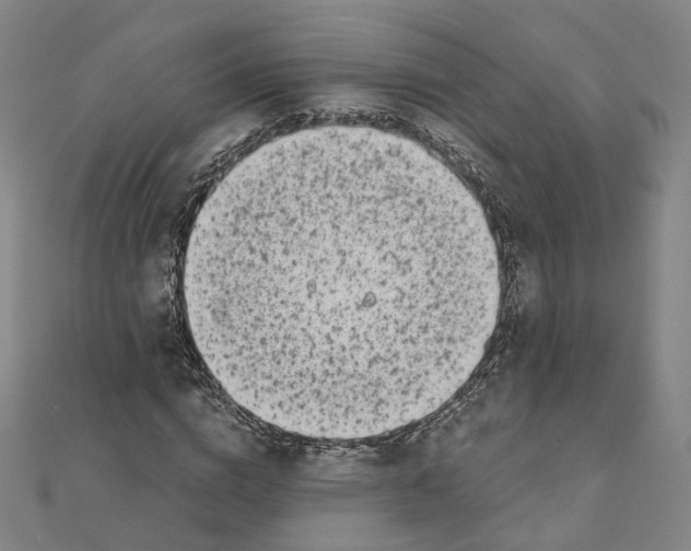 X0000110320824200906111451