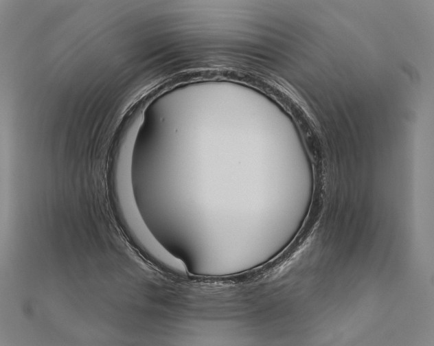 X0000110320826200906111451